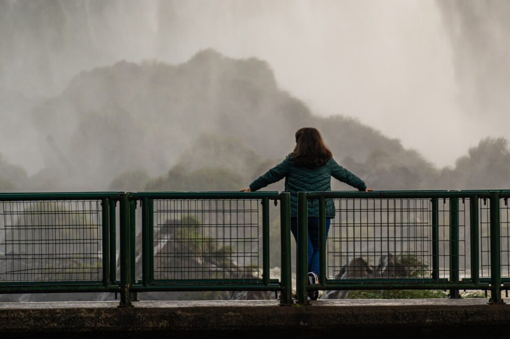 Inverno: confira mudanças na paisagem do Parque Inverno: confira mudanças na paisagem do Parque