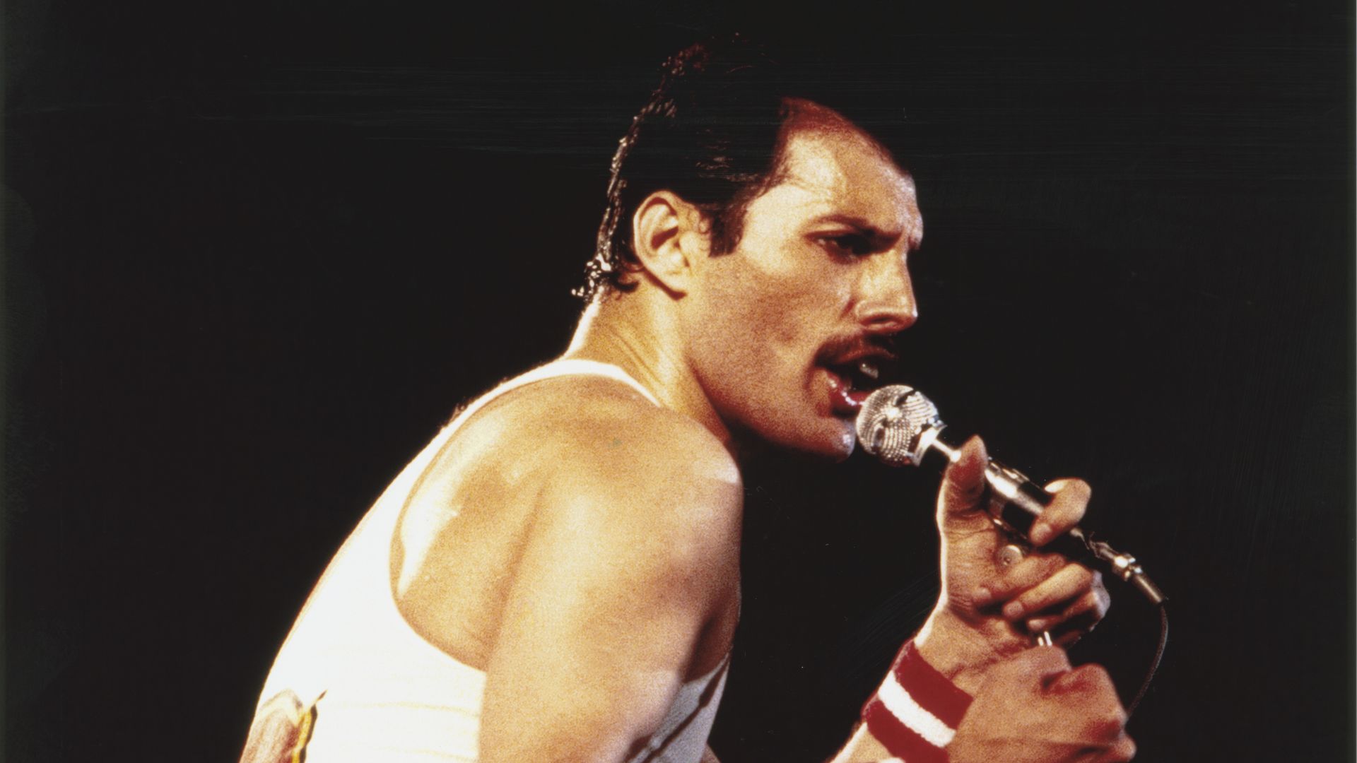 Freddie Mercury, do Queen - Foto: Graham Wiltshire / Getty Images