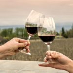 Argentina: Mendoza, mucho más que Malbec, un destino donde el turismo, la gastronomía y la amistad se encuentran