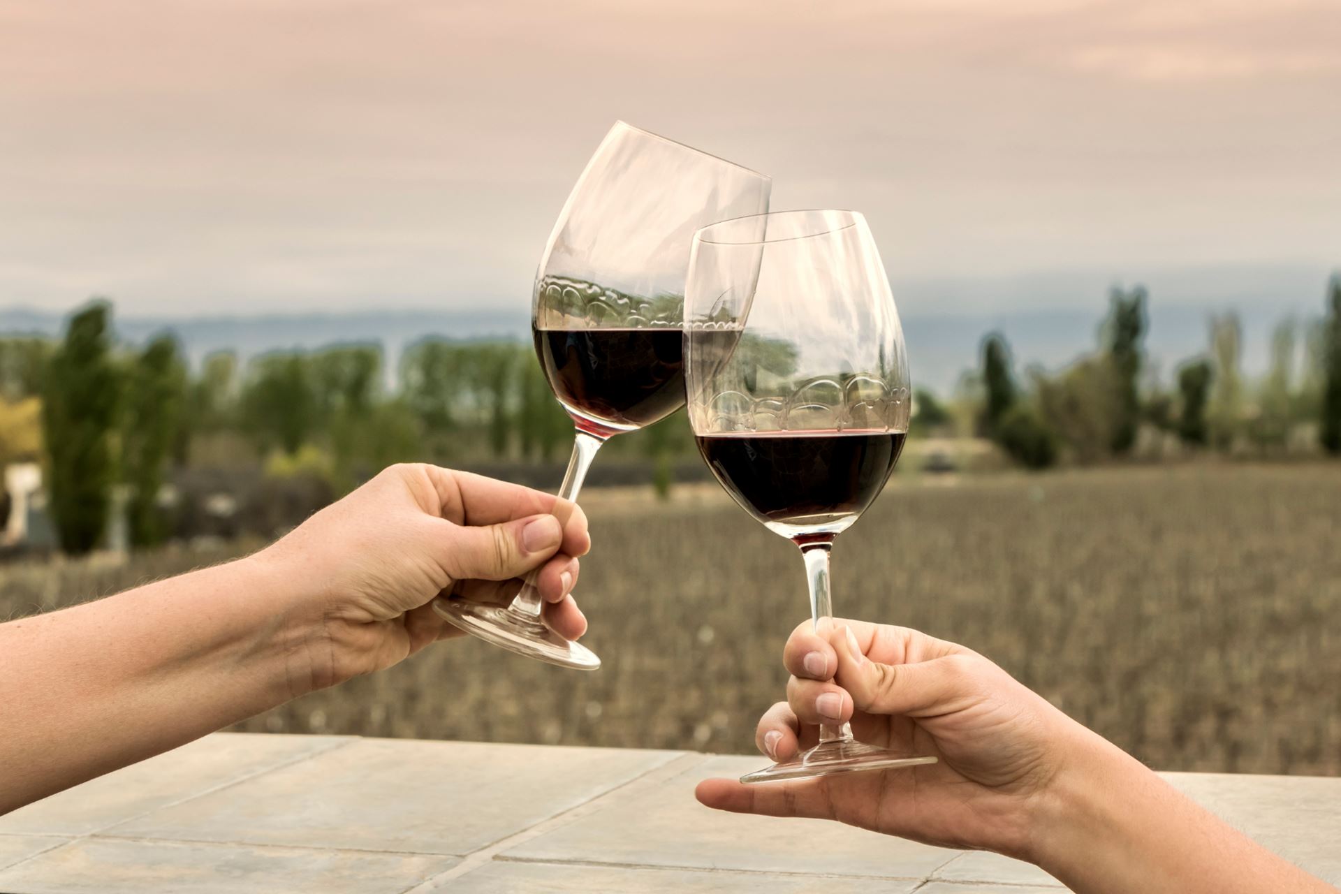 Argentina: Mendoza, mucho más que Malbec, un destino donde el turismo, la gastronomía y la amistad se encuentran Argentina: Mendoza, mucho más que Malbec, un destino donde el turismo, la gastronomía y la amistad se encuentran