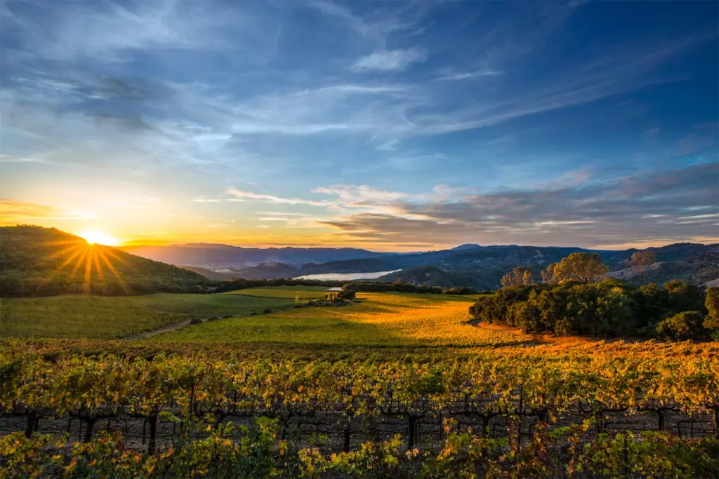 Napa Valley