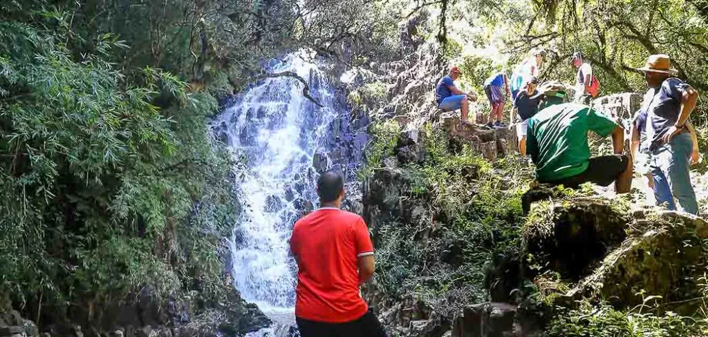 Primavera transforma a experiência no Boqueirão Hotel Fazenda, na Serra Catarinense