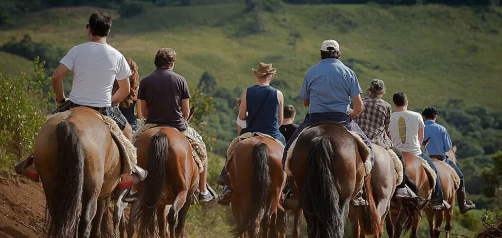 Primavera transforma a experiência no Boqueirão Hotel Fazenda, na Serra Catarinense