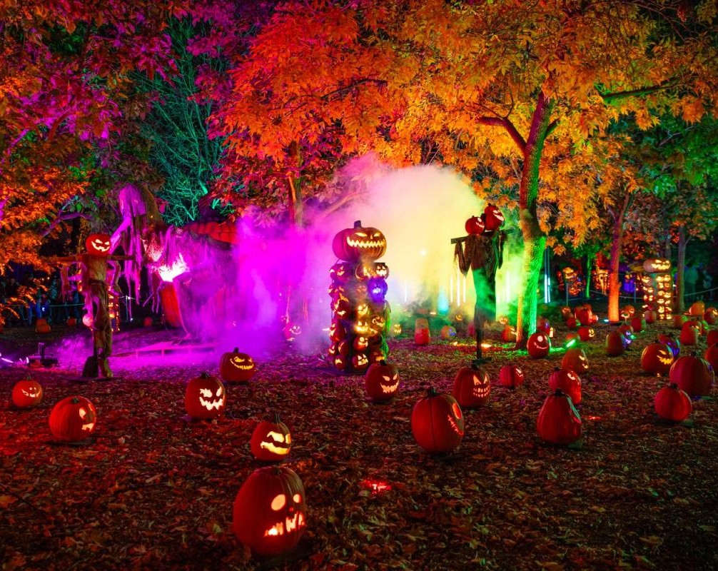Denver se transforma en Halloween: 13 planes para disfrutar la temporada Denver se transforma en Halloween: 13 planes para disfrutar la temporada